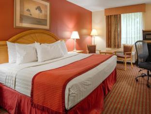 Best Western Center Inn Virginia Beach Chambre photo